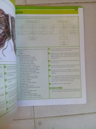 Literatura 1 ESO Lengua castellana y literatura