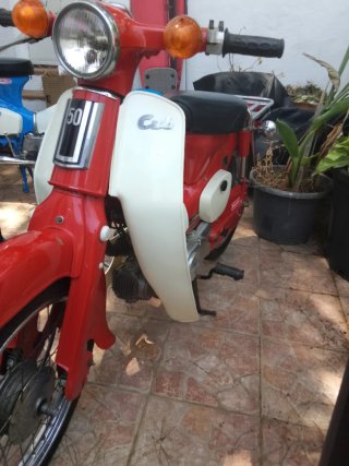 Honda C50