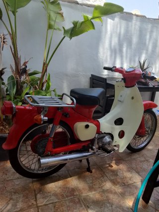 Honda C50