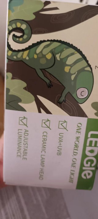 Lámpara para tortugas con pinza