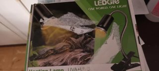 Lámpara para tortugas con pinza