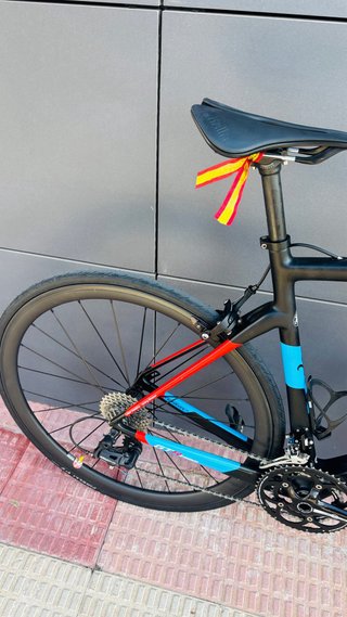 Bicicleta Wilier Triestina Carbono