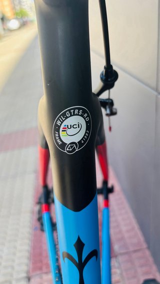 Bicicleta Wilier Triestina Carbono