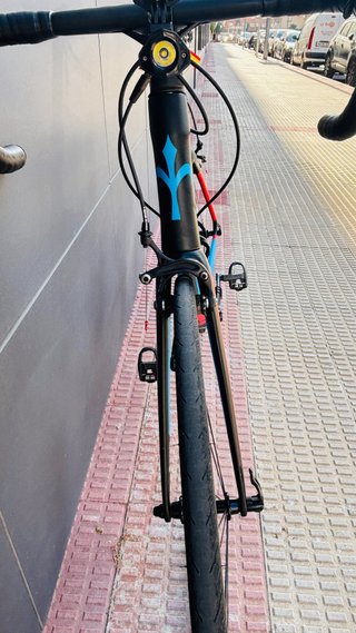 Bicicleta Wilier Triestina Carbono