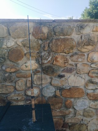 caña de pesca