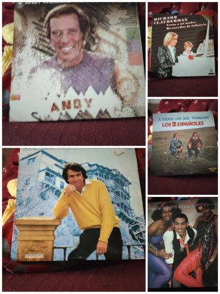 Lote Varios Vinilos LP Artistas