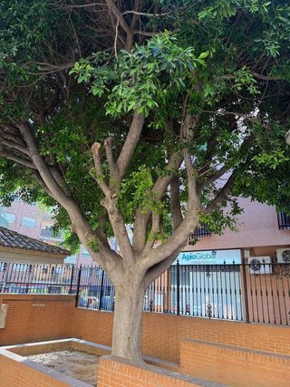 Piso en alquiler en El Alborgí en Paterna