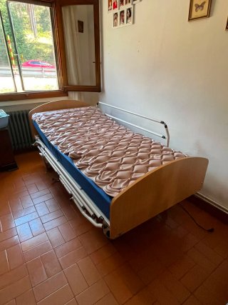 Cama Hospitalaria Articulada Eléctrica 90x190