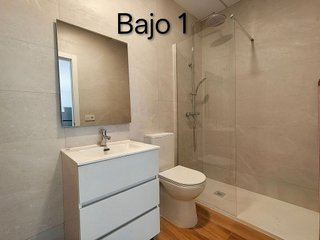 Estudio en alquiler en Alcalde Felipe Mallol en San Vicente del Raspeig/Sant Vicent del Raspeig