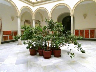 Dúplex en venta en Encarnación - Regina en Sevilla