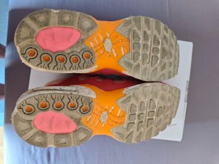 Nike TN Air Max Plus Naranja y Rosa