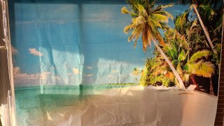 Telón Playa Palmera 3x2.5