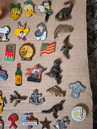 Colección 60 pines variados