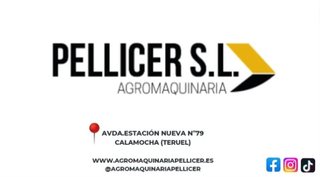Desbrozadora Pellicer WBC 508