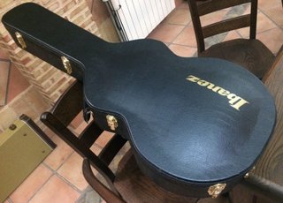 Guitarra Eléctrica Ibanez Artcore AK95 DVS