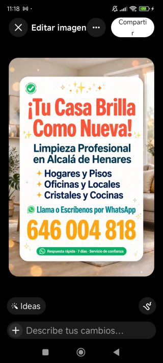 Limpieza profesional