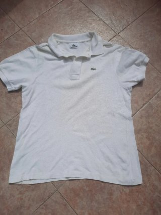 Lote 5 polos Lacoste varios colores y tallas.