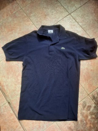 Lote 5 polos Lacoste varios colores y tallas.