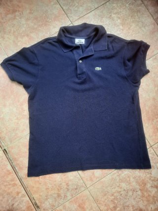 Lote 5 polos Lacoste varios colores y tallas.