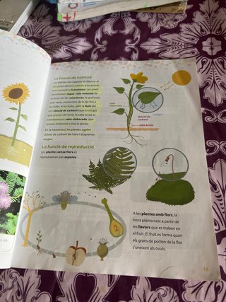 Ciències de la naturalesa, 4 Educació Primària ...