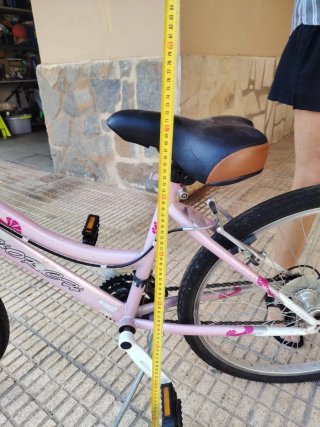 Bicicleta infantil rosa