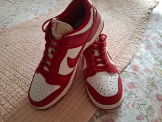 Nike Dunk Low Rojo y Blanco