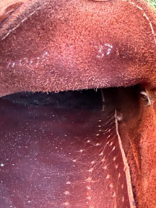 Nauticos de piel marrones