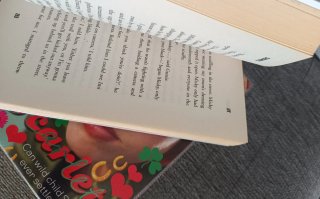 Lote de libros infantiles para niñas – Scarlett, Z