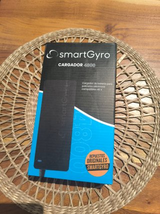 Cargador SmartGyro 4800 48V Original