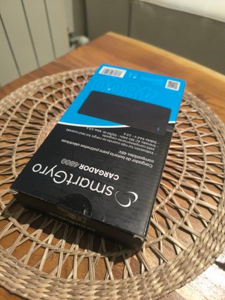 Cargador SmartGyro 4800 48V Original