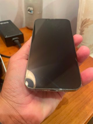 iPhone 13 Pro 256GB Gris