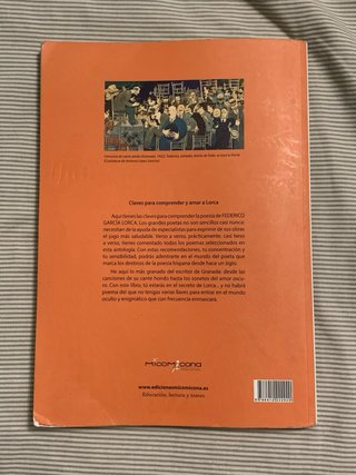 Antologia poetica - Federico Garcia Lorca (ebau...