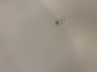 Pack Cuna Madera + Cambiador y Bañera