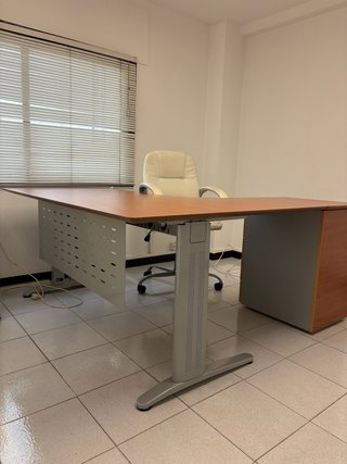 Mesa de escritorio profesional L