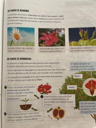 Coneixement del Medi 3, Segon Cicle Primària, F...