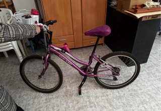 Bicicleta Togano Race Montaña