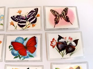 Colección Cromos Mariposas vintage años 70