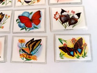 Colección Cromos Mariposas vintage años 70
