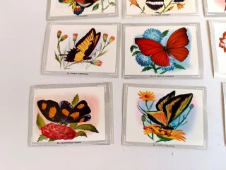 Colección Cromos Mariposas vintage años 70