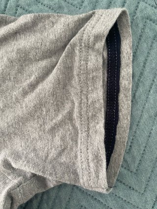 Camiseta Champion Gris Auténtica