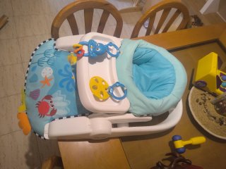 Silla de juego Baby Einstein