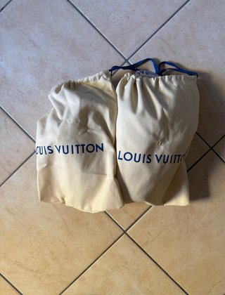 Louis Vuitton LV Skate