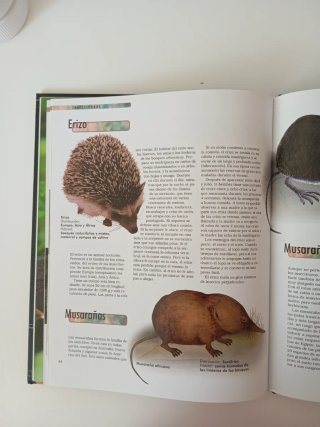 Mamíferos. Anatomía, comportamiento, hábitat