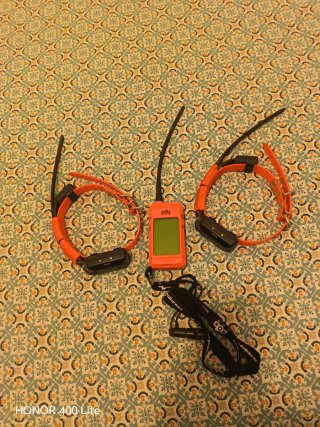 Dogtrace GPS Collares y Mando vizcaya no envio