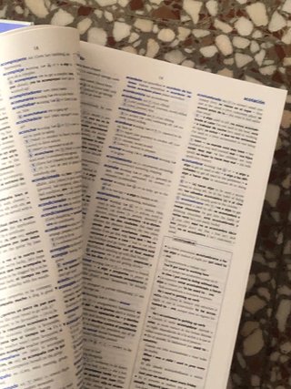 Diccionario
