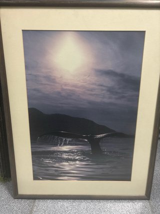 Lote 6 cuadros enmarcados.