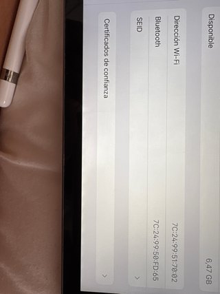 iPad 8ª Gen 32GB Grigio Spazzolato