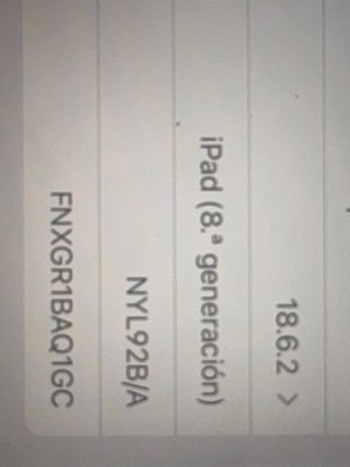 iPad 8ª Gen 32GB Grigio Spazzolato