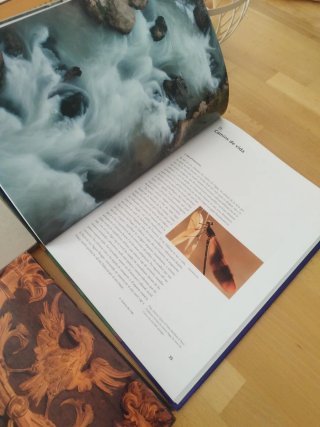 Libros comunidad valenciana