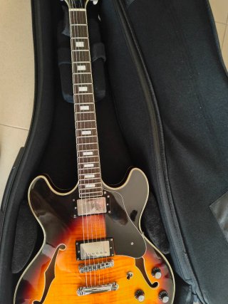 Guitarra Eléctrica Larry Carlton H7